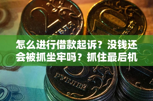 济南怎么进行借款起诉？没钱还会被抓坐牢吗？抓住最后机会！