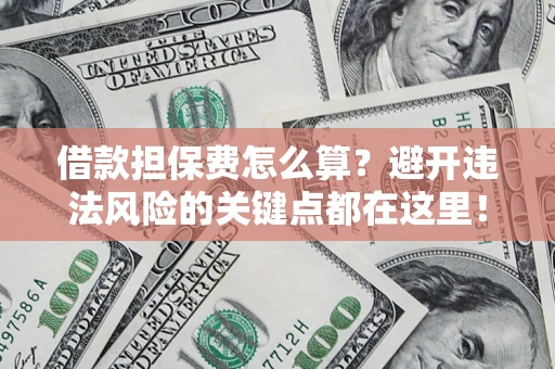 济南借款担保费怎么算？避开违法风险的关键点都在这里！