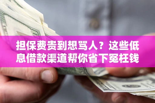 济南担保费贵到想骂人？这些低息借款渠道帮你省下冤枉钱
