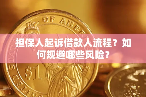 济南担保人起诉借款人流程？如何规避哪些风险？