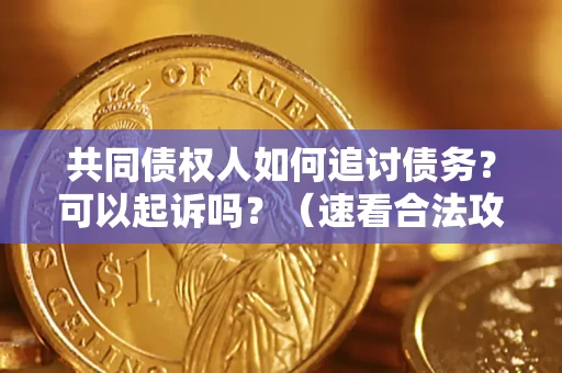 济南共同债权人如何追讨债务？可以起诉吗？（速看合法攻略）