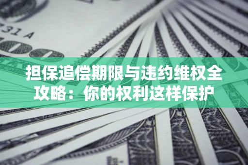 济南担保追偿期限与违约维权全攻略：你的权利这样保护